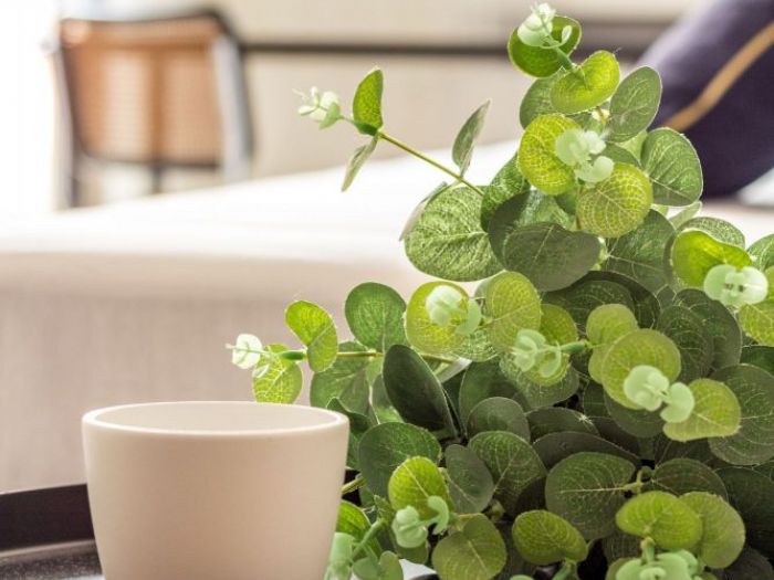 Archisio - Dettagli Home Staging Silvia Marcheselli - Progetto Appartamento nel cuore di bologna