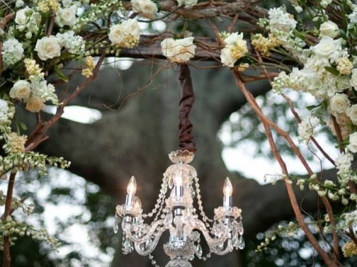 Archisio - Vivai Cantatore - Progetto Piante