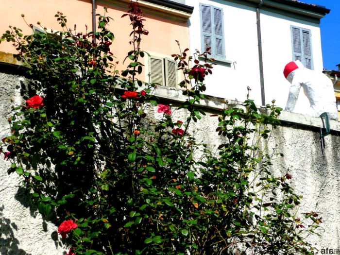 Archisio - Sonia Valente - Progetto 090909