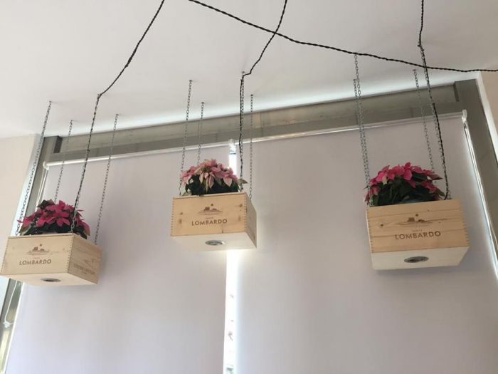 Archisio - Salvatore Nicolosi - Progetto Chang eat