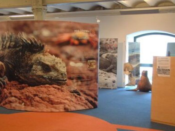 Archisio - Leolab - Progetto Minidarwin