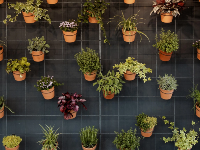 Archisio - Zda Zupelli Design Architettura - Progetto Ristorante saur