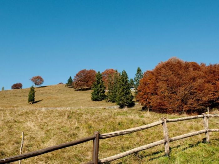 Archisio - Semplicemente Legno - Progetto Abitazioni 3