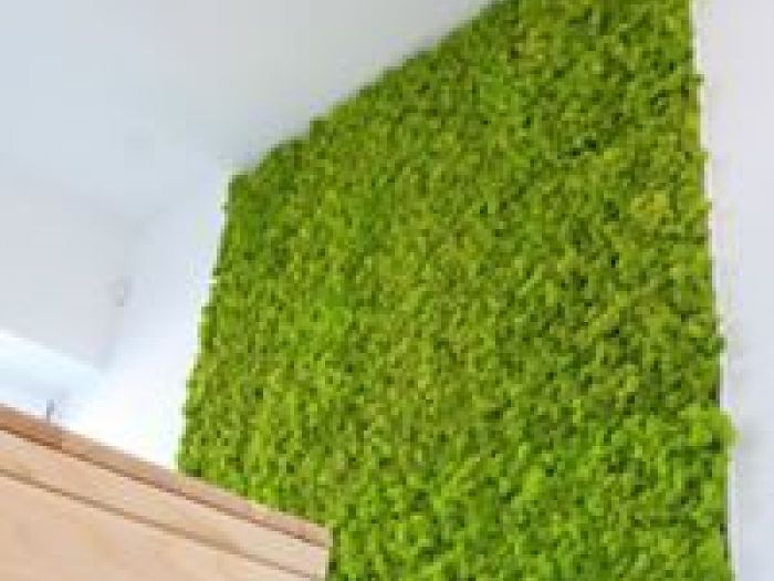 Archisio - Arch Chiara Mirra - Progetto Elisme