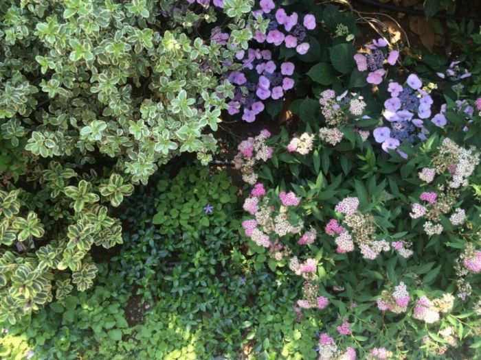 Archisio - Giardini Benatti - Progetto Direzione tecnica e creativa