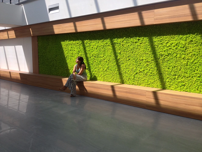 Archisio - Studio Pastore Architettura - Progetto Progettazione parete verde con moss