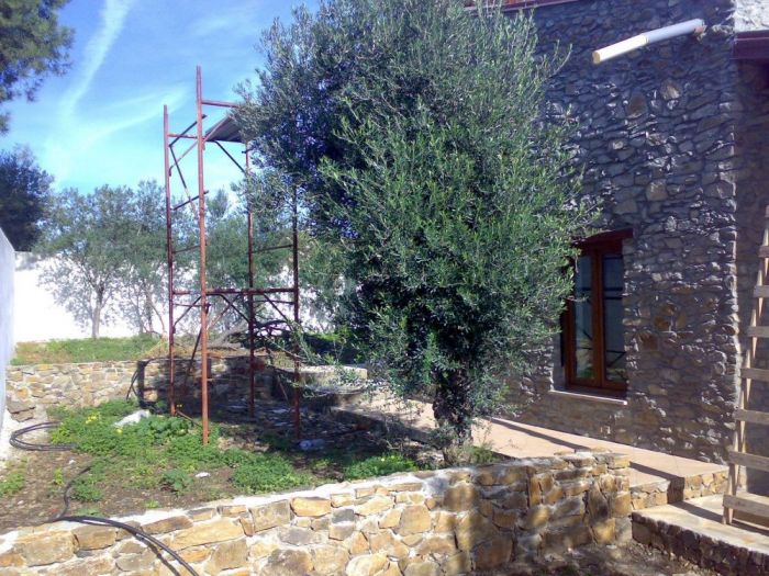 Archisio - Manlio Soraci - Progetto Naturaricercamateria