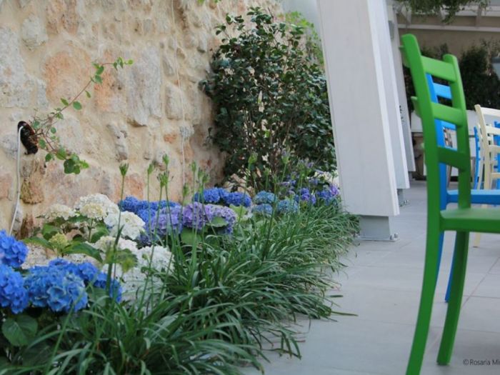 Archisio - Pedone Working - Progetto Verde matematico