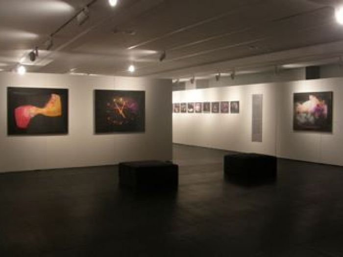 Archisio - Architetti Cipolla - Progetto Fondazione dino zoli