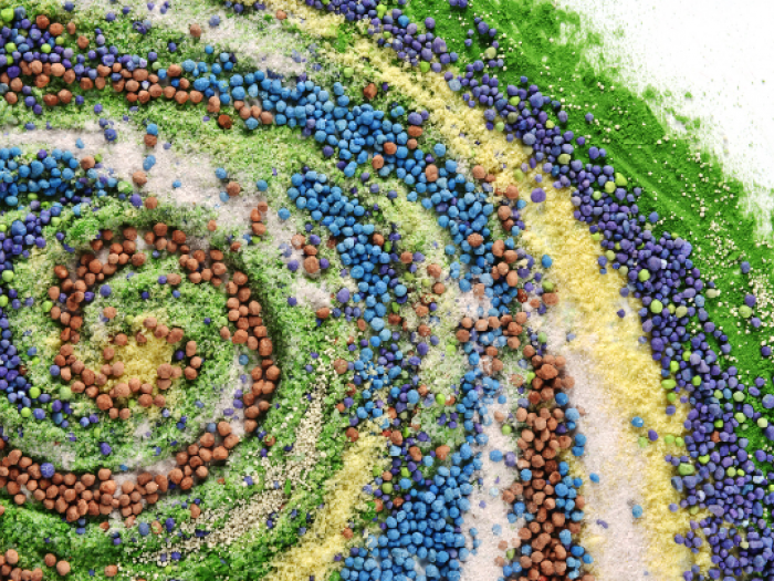 Archisio - Unlead - Progetto Compo expert i granuli le polveri i liquidi