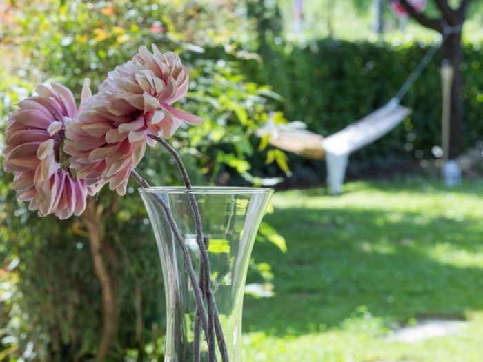 Archisio - Elisa Ricci - Progetto Casa dei boschi