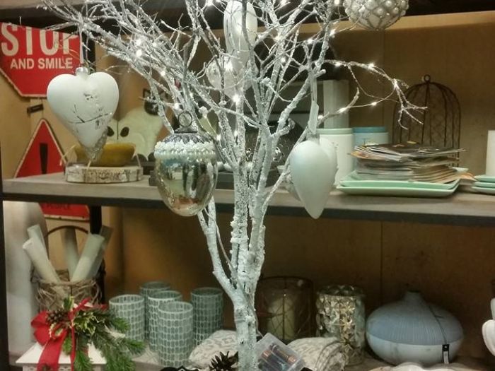 Archisio - Massarroni - Vivai Piante - Garden - Progetto Vivai e piante