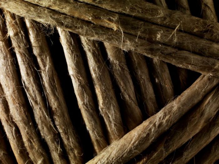 Archisio - Cesare Chimenti - Progetto Ricerca