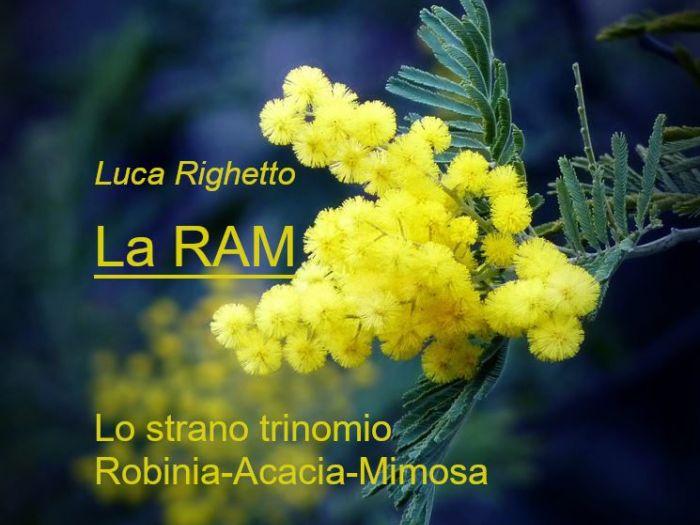 Archisio - Luca Righetto - Progetto Pensieri e considerazioni su piante e giardini Link agli articoli in httpsprogettazione-spazi-verdibusinesssiteutmsourcegmbutmmediumreferral