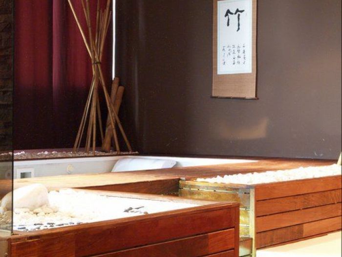 Archisio - Bianca Maria Canepa - Progetto Onsen