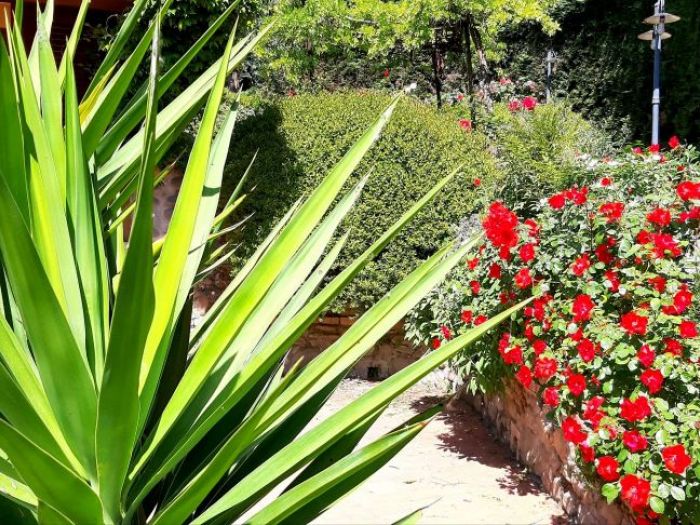 Archisio - Simone Scardigli - Progetto Casastudio