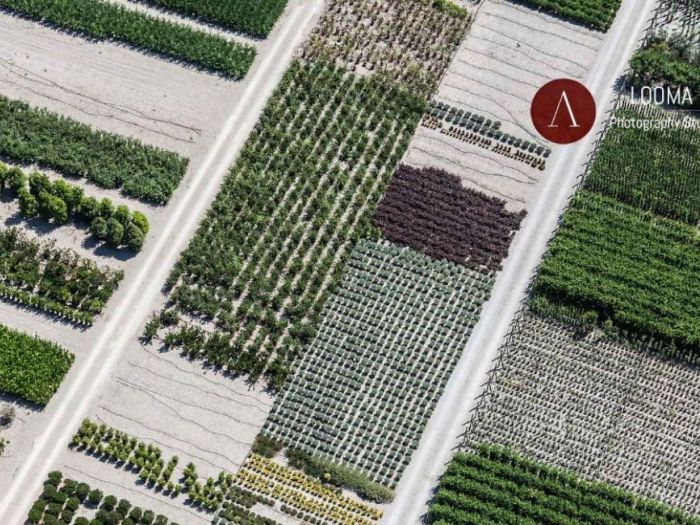 Archisio - Looma - Progetto Fotografia aerea