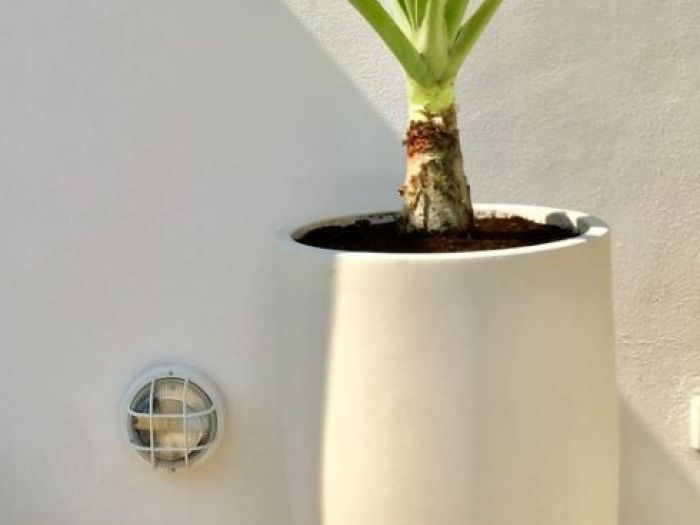 Archisio - Gabriele Fanuli - Progetto Un giardino al terzo piano