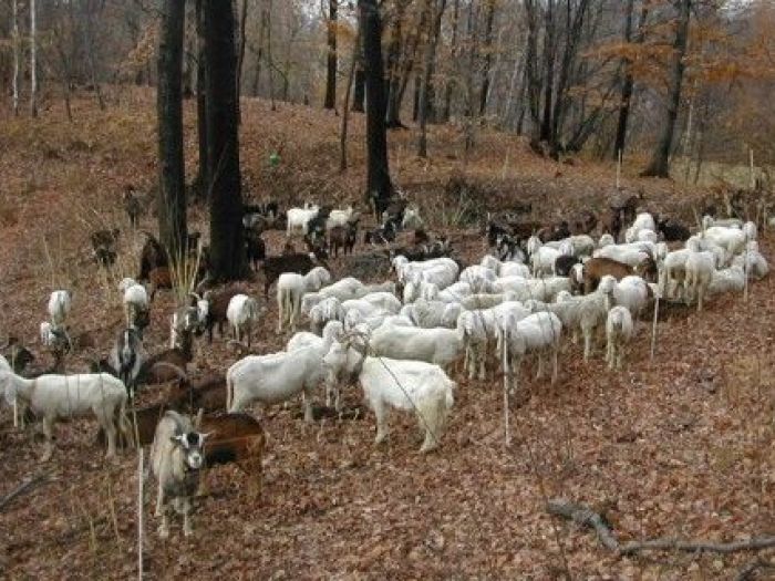 Archisio - Studio Di Agronomia E Architettura Del Paesaggio - Progetto Parco paesaggistico di interesse provinciale del quargnasca - rovella