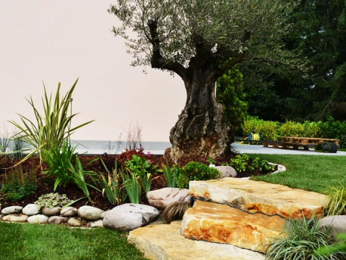 Archisio - Lugo Architettura Del Paesaggio - Progetto Realizzazione-ville e case private