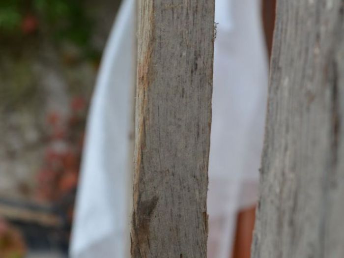 Archisio - Andrea Daguanno - Progetto Arredo