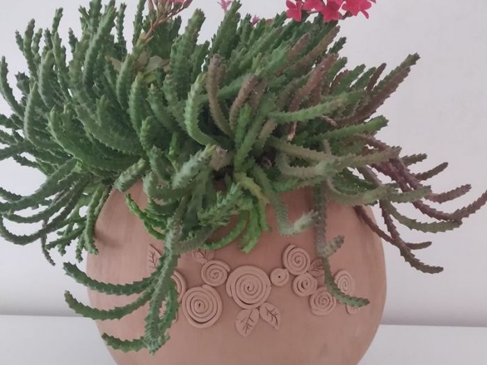 Archisio - Frisart - Progetto Vasi