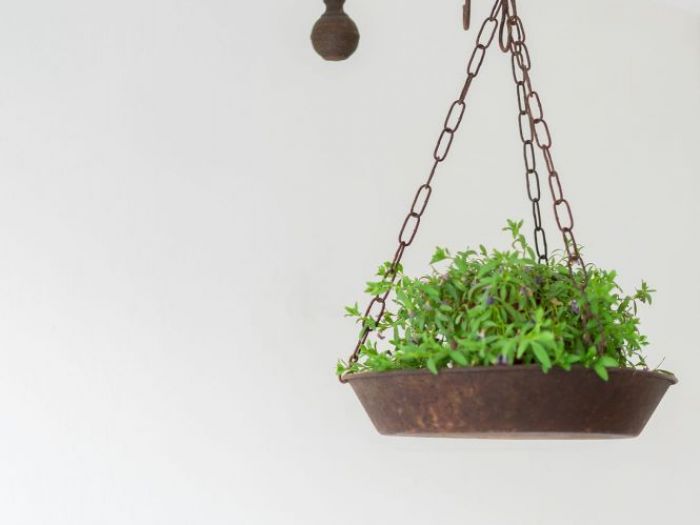 Archisio - Andrea Rollo - Progetto Li perrini bb