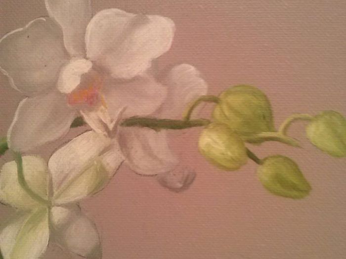 Archisio - Donatella Vincenzi - Progetto Decorazione