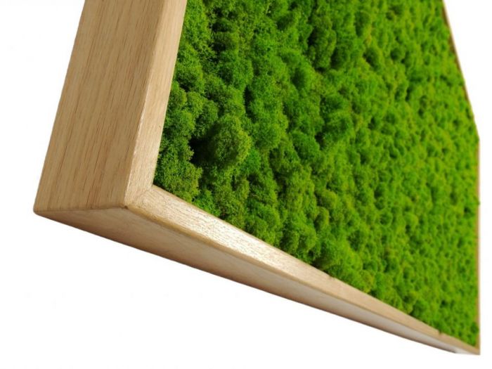 Archisio - Verde Passione - Progetto Quadri in moss