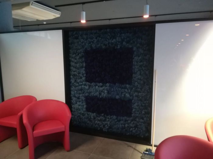 Archisio - Fiorissima Italiana srl - Progetto Muri vegetali stabilizzati