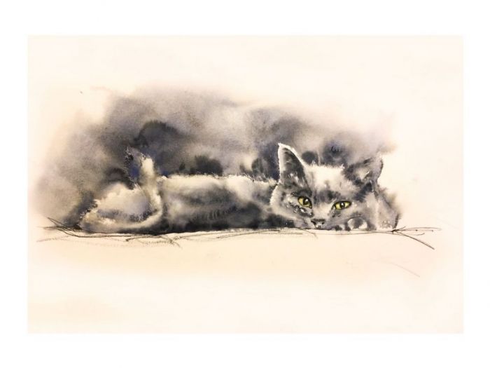 Archisio - Elena Lisa Colombo - Progetto Illustrazioni