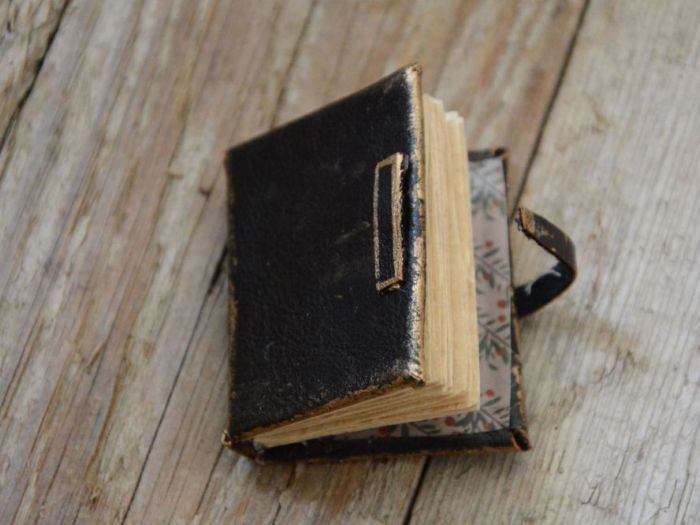 Archisio - Pupillae Art Dolls - Progetto Bambole di feltro edgar a Poe