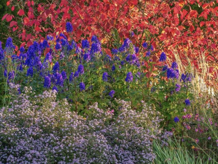 Archisio - Claudia Dibbe Piazza - Progetto Allinsegna di piet oudolf