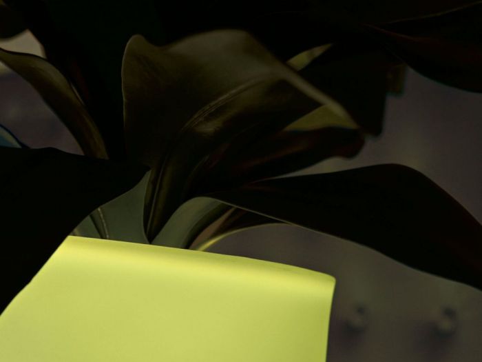 Archisio - Jupiter International srl - Progetto Insideout collection