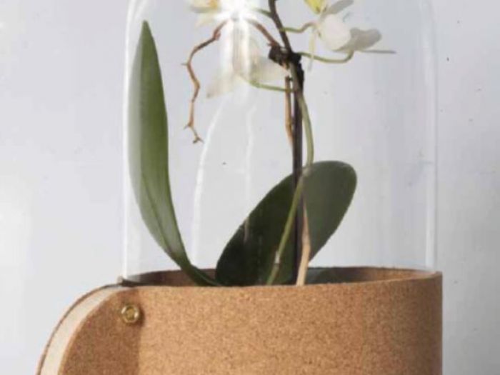 Archisio - Davide Bianchi - Progetto Il mauro