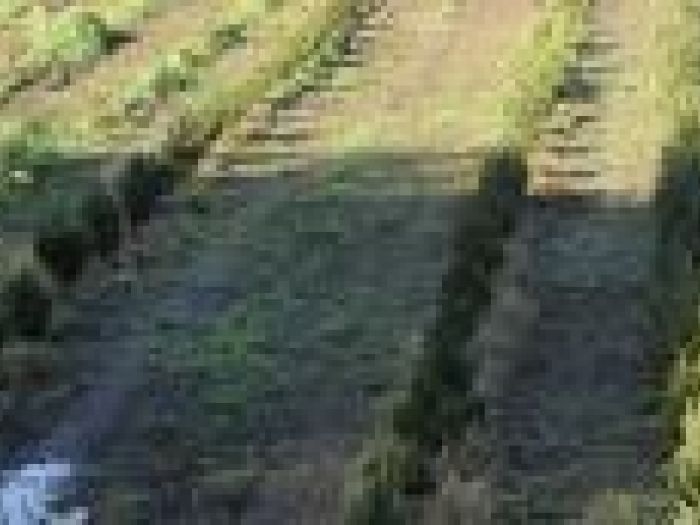 Archisio - Piante Macri - Progetto Serre di produzione