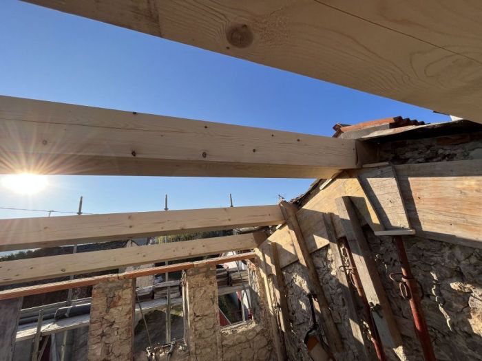 Archisio - Trentin Andrea - Progetto Progettazione-direzione lavori-cspcse