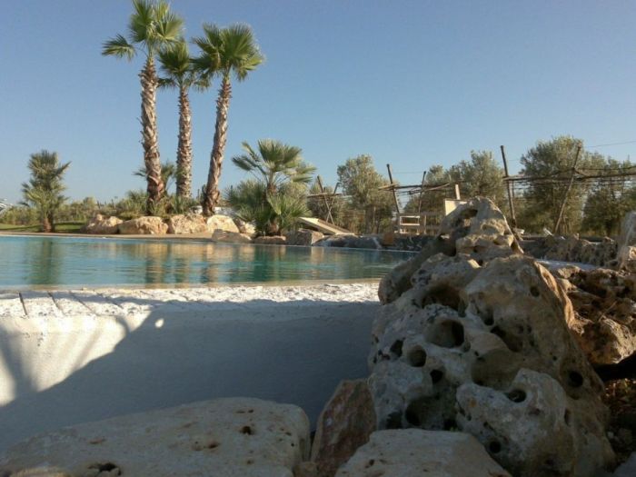 Archisio - Emanuele Carbone - Progetto Giardini piscine e tetti verdi