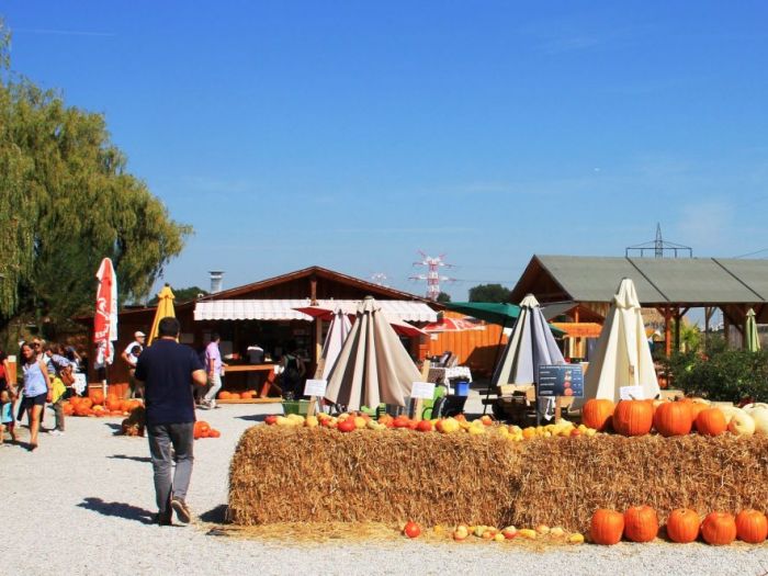 Archisio - Luca Righetto - Progetto Germania 2016