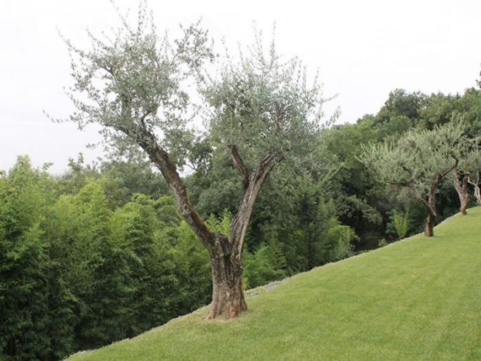 Archisio - Studio Massardi E Zubani - Progetto ResidenzialeVille a padenghe