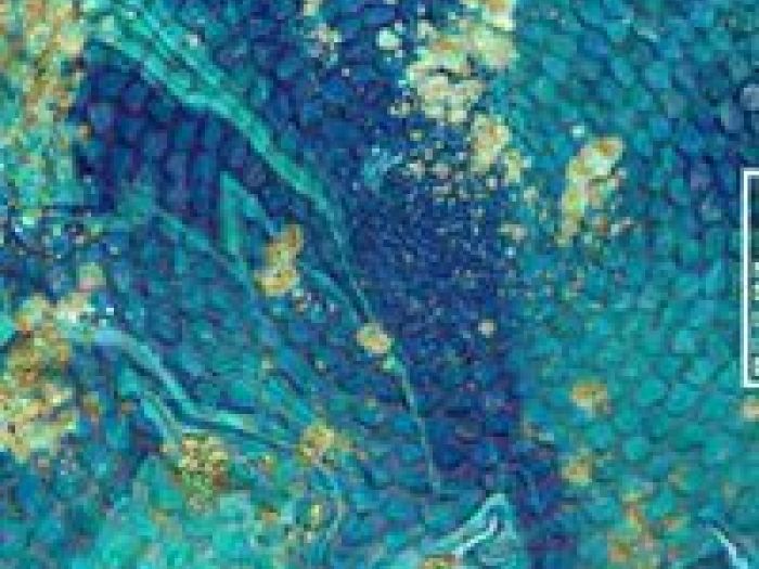 Archisio - Rockolors - Progetto Lavori in pietra