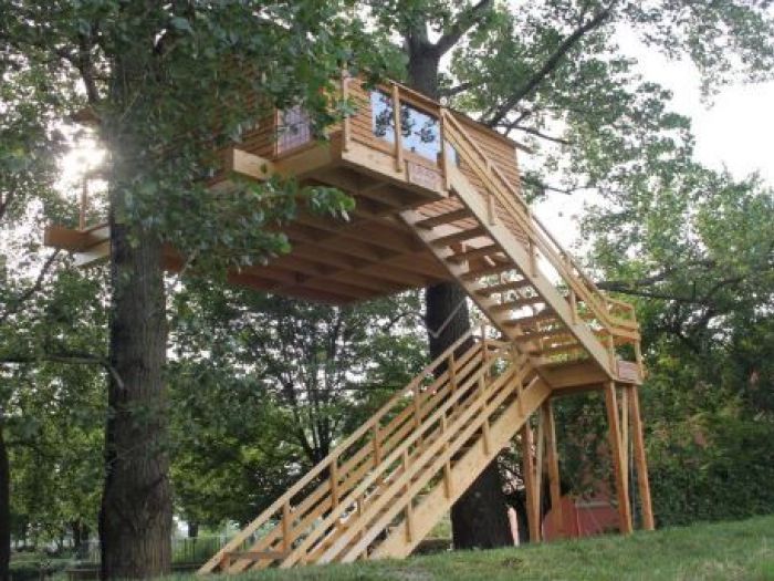 Archisio - Casalberi - Progetto Osservatorio faunistico