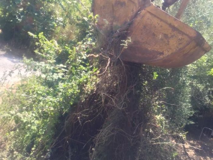 Archisio - Ditta Edile Di Farruggia Giuseppe - Progetto Movimentazione terra