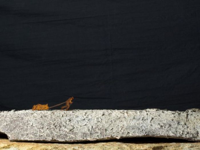 Archisio - Studio Cc - Progetto Vincent munier