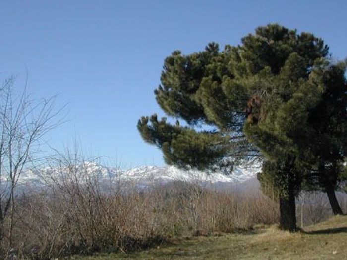 Archisio - Studio Di Agronomia E Architettura Del Paesaggio - Progetto Restauro giardino storico pubblico inizio 900