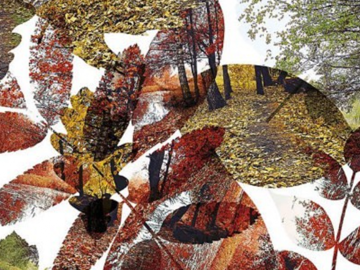 Archisio - Cinzia Forte - Progetto Graffiti