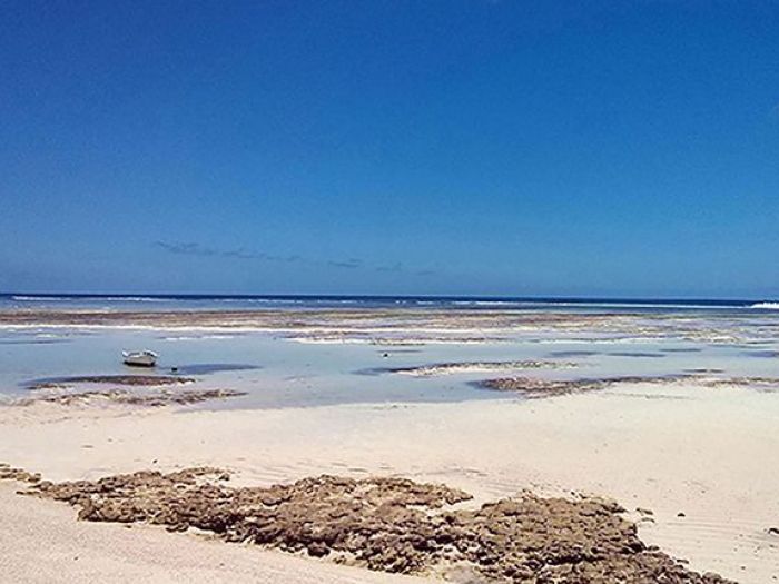 Archisio - Ank Studio - Progetto Architettura res