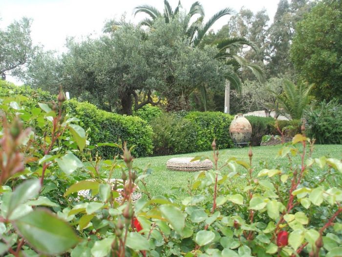 Archisio - Daniele Spitaleri Architetto E Garden Designer - Progetto Progetto parco delle appendici delletna