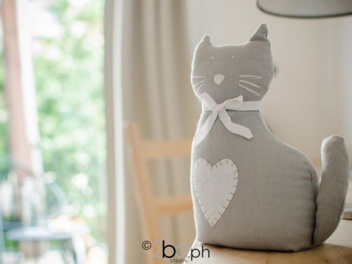 Archisio - 2ba Studio - Progetto Fotoracconto bb lupo