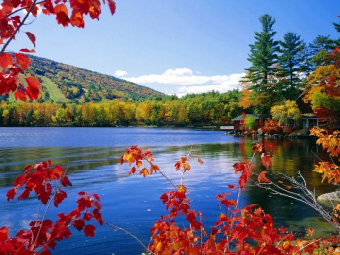 Archisio - Riviera Electric Di Elezi Ervis - Progetto Riviera electric